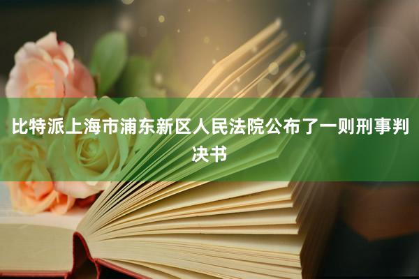 比特派上海市浦东新区人民法院公布了一则刑事判决书