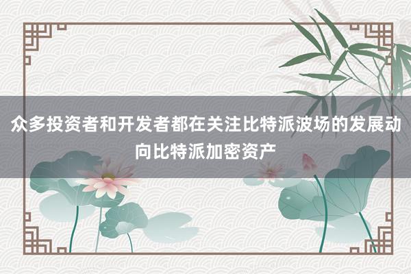 众多投资者和开发者都在关注比特派波场的发展动向比特派加密资产