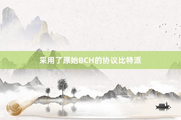 采用了原始BCH的协议比特派