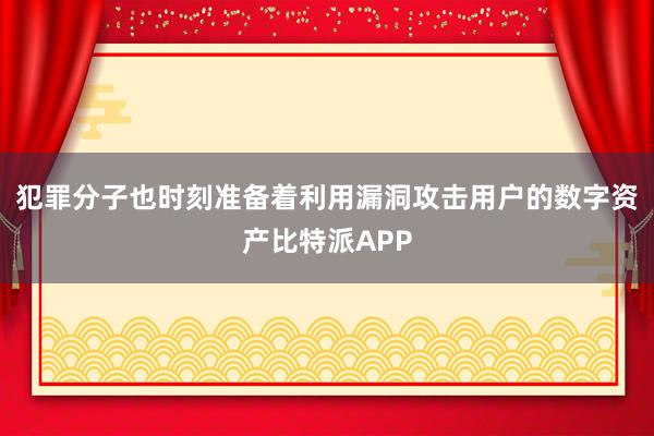 犯罪分子也时刻准备着利用漏洞攻击用户的数字资产比特派APP