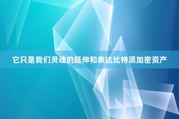 它只是我们灵魂的延伸和表达比特派加密资产