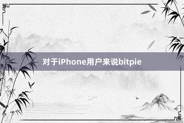 对于iPhone用户来说bitpie