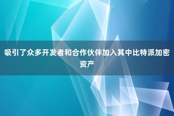 吸引了众多开发者和合作伙伴加入其中比特派加密资产