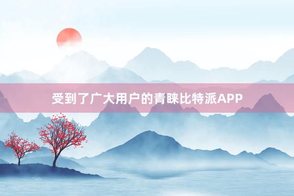 受到了广大用户的青睐比特派APP