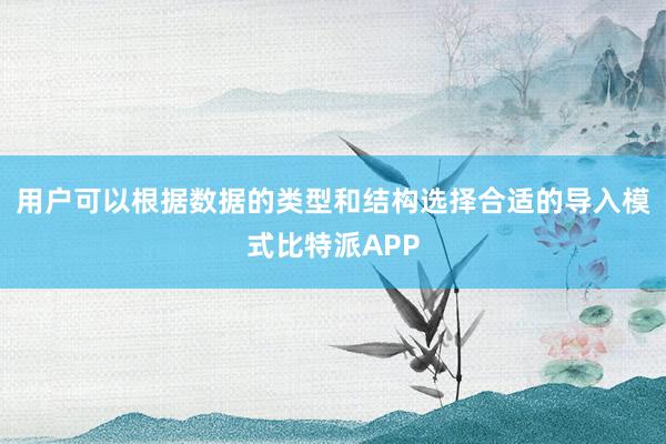 用户可以根据数据的类型和结构选择合适的导入模式比特派APP