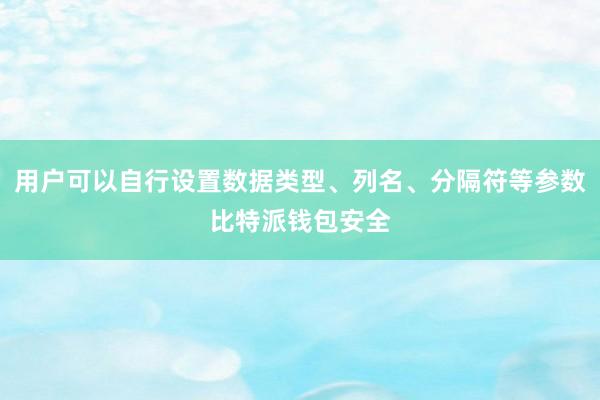 用户可以自行设置数据类型、列名、分隔符等参数比特派钱包安全