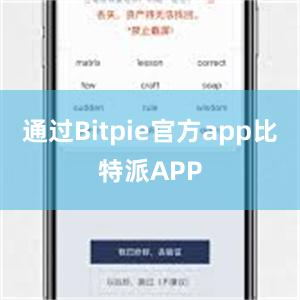 通过Bitpie官方app比特派APP