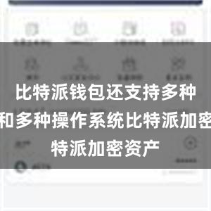 比特派钱包还支持多种语言和多种操作系统比特派加密资产