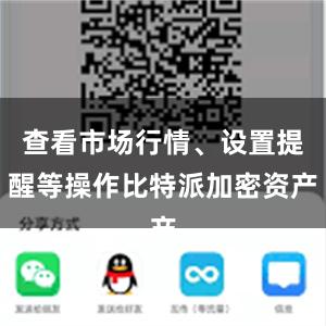 查看市场行情、设置提醒等操作比特派加密资产