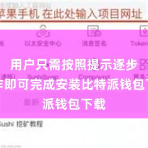 用户只需按照提示逐步操作即可完成安装比特派钱包下载